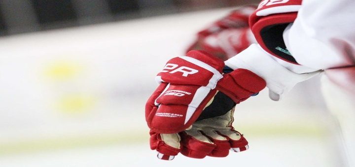 Hockey Gloves