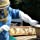 Zamango 1 Pair Goatskin Beekeeper Beekeeping Protective Gloves with Vented Long Sleeves White