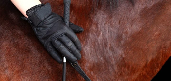 Horse Riding Gloves