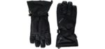 Gordini Men's Standard Gore Gauntlet Glove, Black, Large