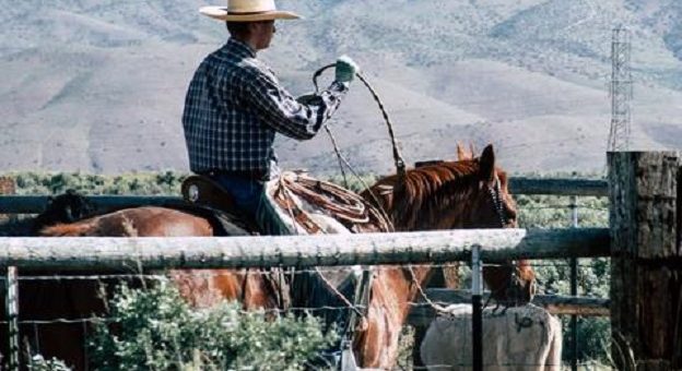 Ranch Work Gloves