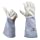 Rose Gardening Gloves by Euphoria - Cowhide Leather Garden Gauntlet Gloves - Puncture Resistant Work Gloves for Men and Women in S, M, L (Runs Large) - Best for Pruning Blackberries and Thorny Bushes