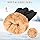ihuan Winter Waterproof Gloves Cold Weather - Snow Ski Windproof for Men Women, Warm Touchscreen Thermal for Running Cycling
